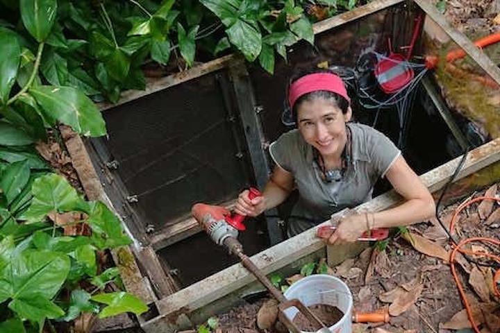 A female research specialist installs soil gas sampling probes in a soil pit in the Biosphere 2 Tropical Rainforest. Photo credit: Gemma Purser
